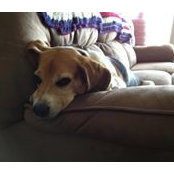 Marissa Culp's photo
