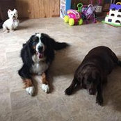 Tracy Simon's photo