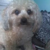 Pat Cassese's photo