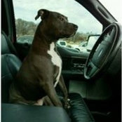 Jamie King's photo