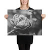 Perfect Petals High Contrast Black and White Canvas Wall Art Print, 18" X 24"