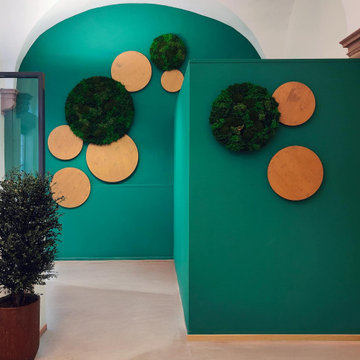 Aménagement et décoration végétaux stabilisés / espace de coworking