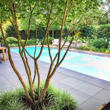 Garten mit Pool