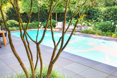 Mittelgroßer Moderner Pool hinter dem Haus in rechteckiger Form mit Betonplatten in Frankfurt am Main