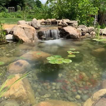 Bringing an 18yr Old Pond Back to LIFE