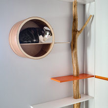 кот