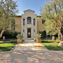 Olive Trees