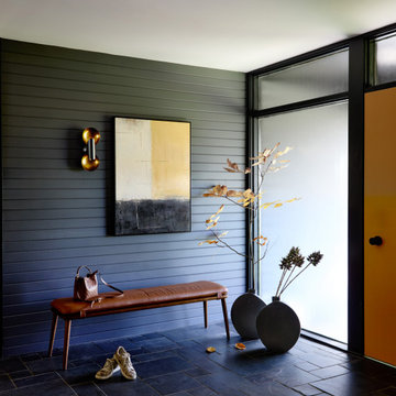 Mid Century Modern house Renovation