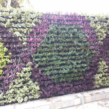 Vertical Garden in Sadashivanagar