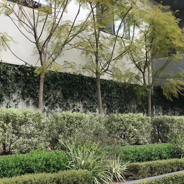 Westwood