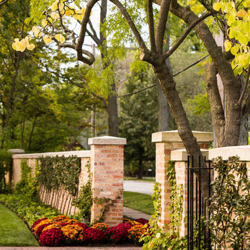 Fall Annuals