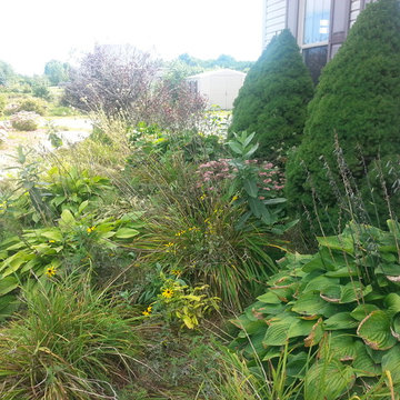Bringing Back the Love to Balmoral Drive - Before and After Photos