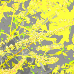 Yellow Flowers - Prints And Posters