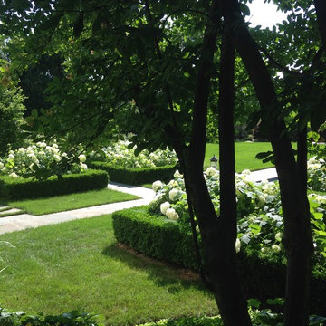 back yard