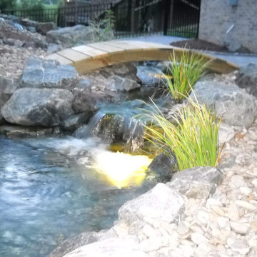Ponds and Streams