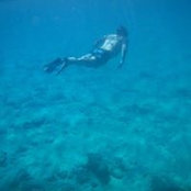 Nick Lavidge's photo
