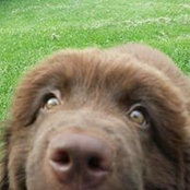Steve McCool's photo