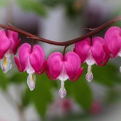 Monica Keller's photo
