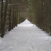 Mary Verdel's photo