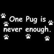 Penny Farren's photo