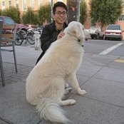 Foto von Raymond Yang