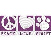 Leslie Wermann's photo