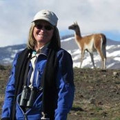 Robin Kepple's photo