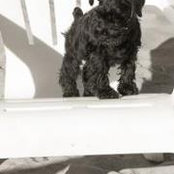 Meg Coulter's photo