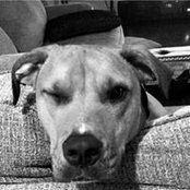 Corinne Patterson's photo