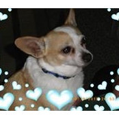 Sonja Yates's photo