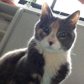 Foto von pmg212