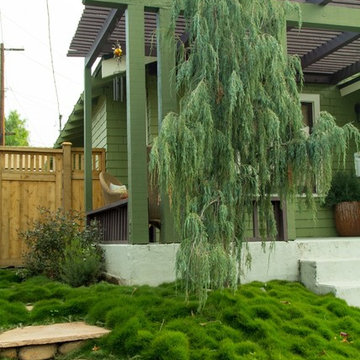Plants in the Landscape