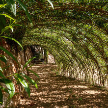 jardines
