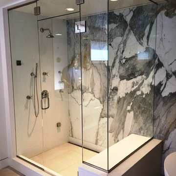 Frameless Shower Doors