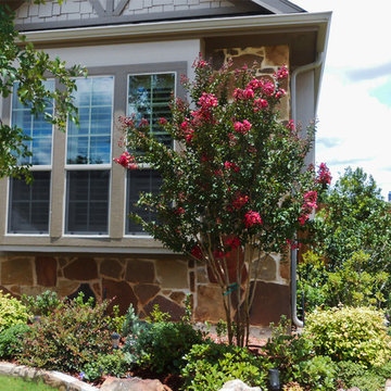 Centennial Crape Myrtle