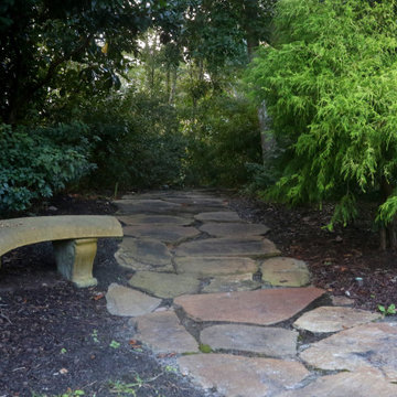 Tranquil Pathway