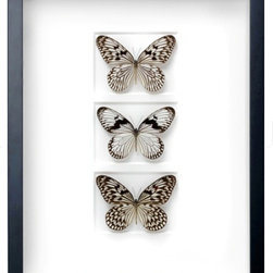 Wall Art - Products