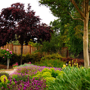 Mediterranean Estate Garden