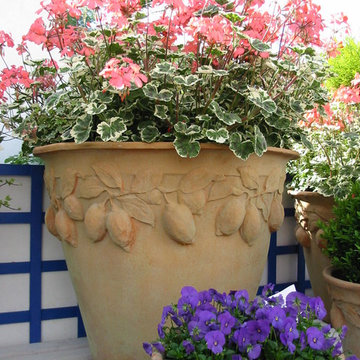 Capital Garden Planters