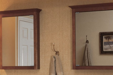 Trendy home design photo in Dallas