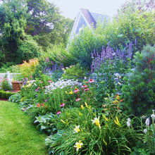 sunny garden