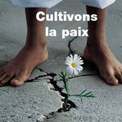 Foto von Marlène Touka