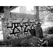 David Tyburski's photo