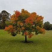 Lauren Decker's photo