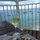 webuser_634872