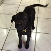 Lana Slobodsky's photo