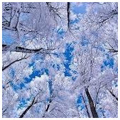 Nancy Klinesmith's photo