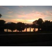 Freddy Villavicencio's photo