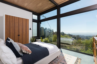 Inspiration for a 1950s concrete floor and gray floor bedroom remodel in San Francisco with white walls