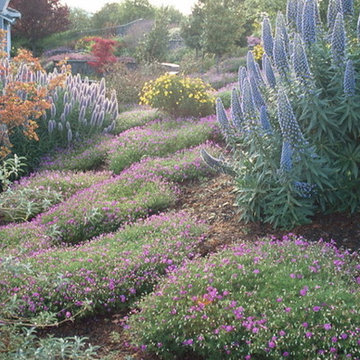 Stunning Hillside Gardens